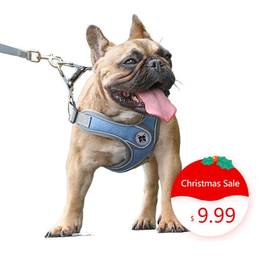 3-1 Splash Ink Print Asymmetrical Neck Top & Shorts Setqr  PT