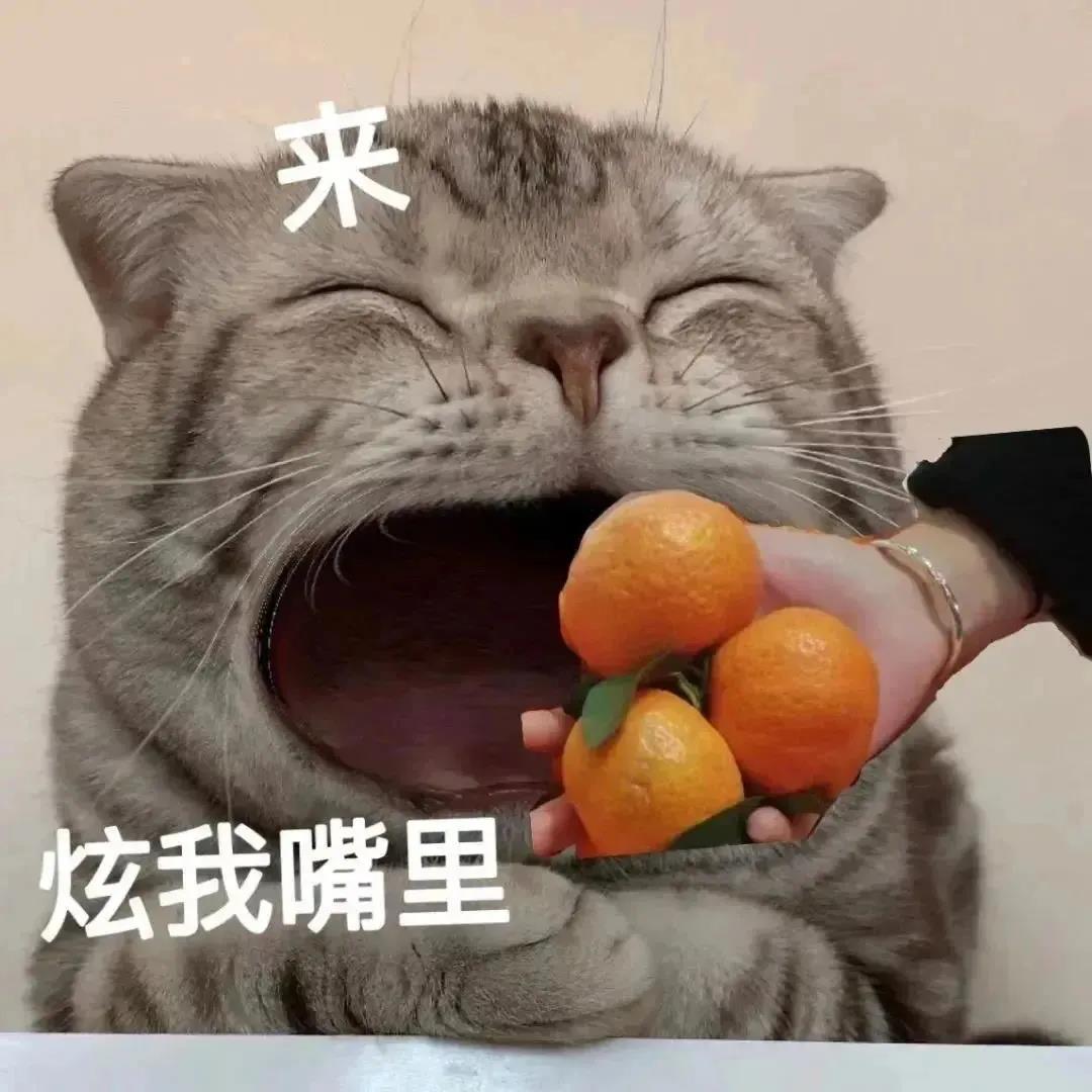 宽肩无痕衣架家用挂衣防滑晾衣服架子衣挂撑子塑料架衣架子晒衣撑