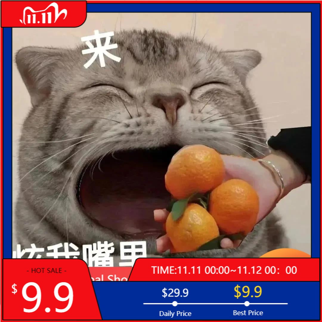 Nếu Có Thể Nếu Không Có Thể Không Có Áo Thun Vui Nhộn Hawaii Hawaii Thoải Mái Áo Kpop Áo Thun Cotton Thịnh Hành Áo Thun Nam