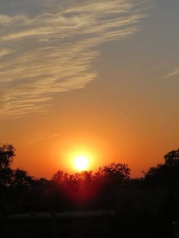 If Can Can If No Can No Can Hawaiian Hawaii Funny T-Shirt ComfortableKpop Tops Shirt Pr22222221111111111