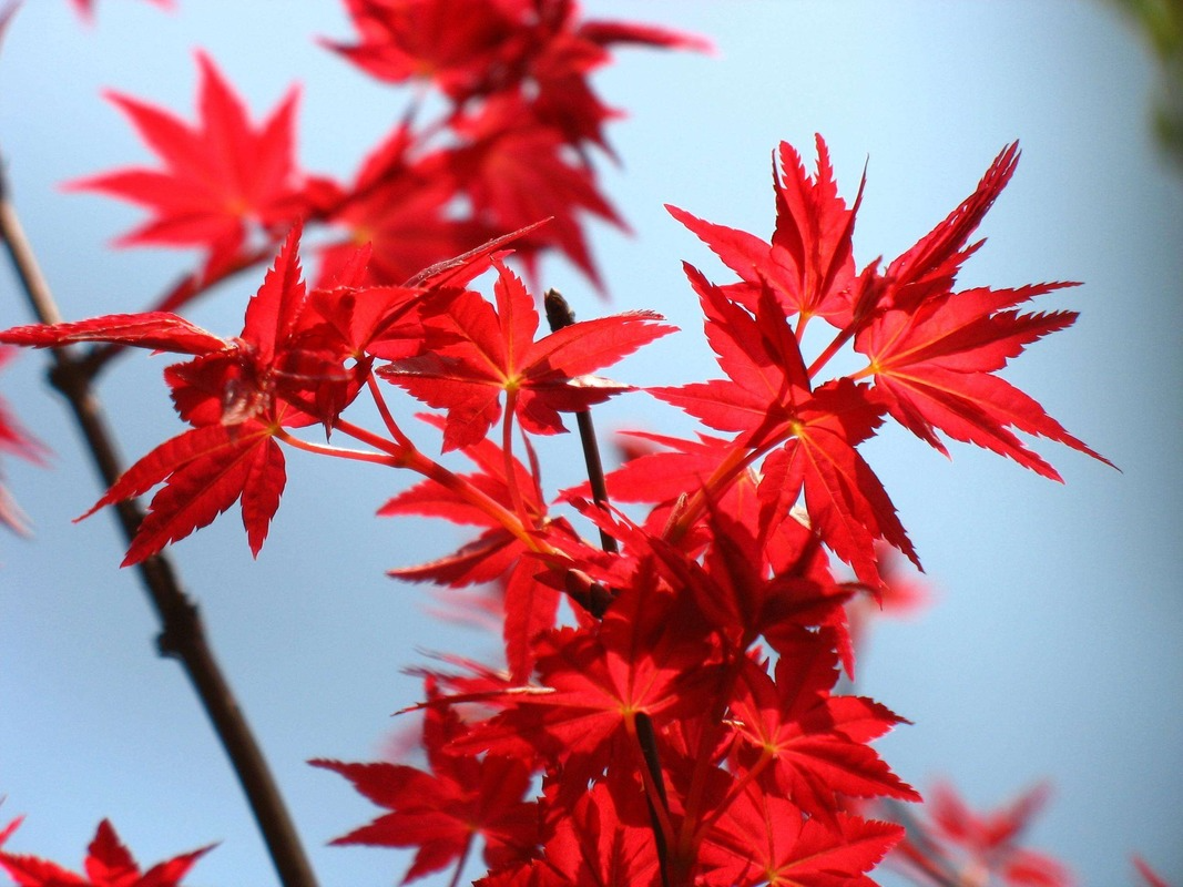 test create a new product dsaafdsafdsa fdsa rewq fdsf