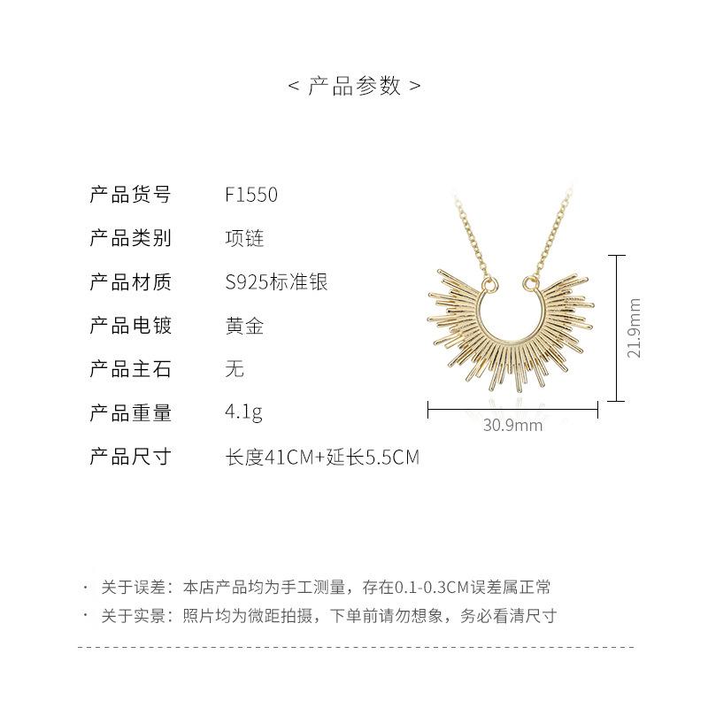 HOVANCI S925 Sterling Silver HOVANCI S925 Sterling Silver  Necklace European Luxury Geometric Irregular Gold Color Pendant Clavicle Necklace